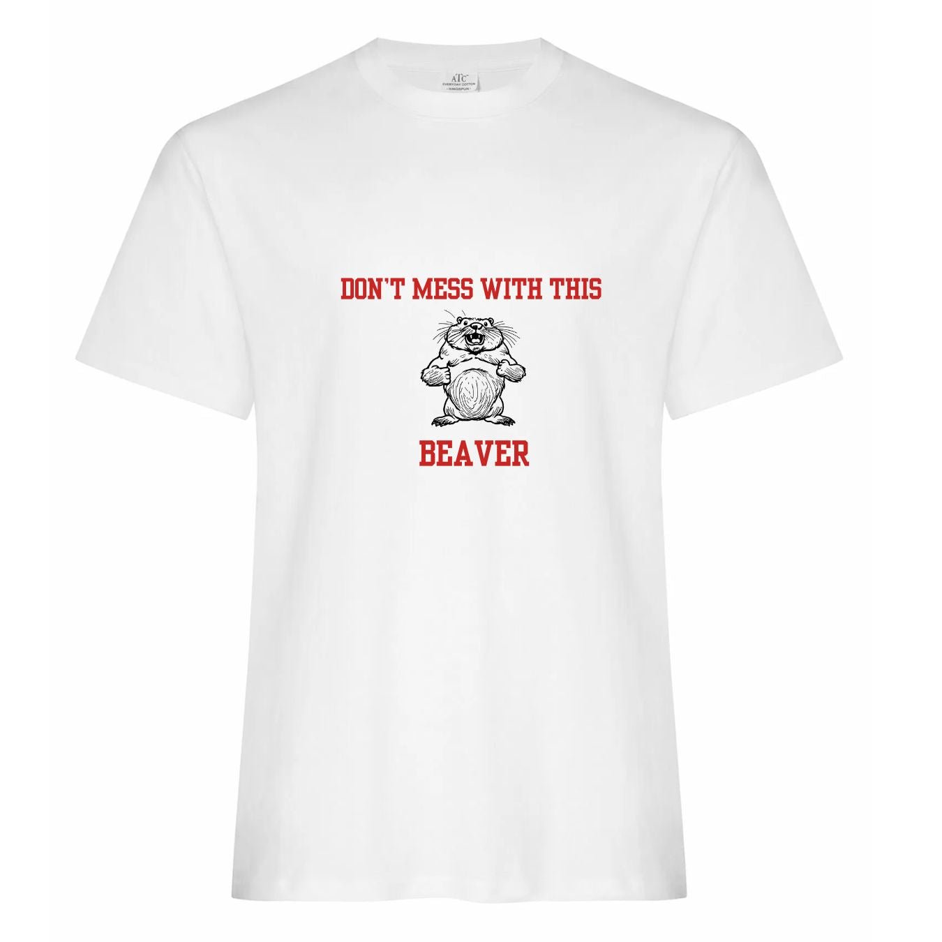 Don't mess with beaver π¨π¦